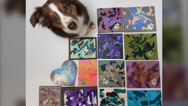 'It's very surreal': Artistic southern Alberta dog gains worldwide attention for painting