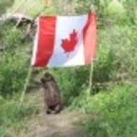 How a Sask. photographer captured this Canadian moment