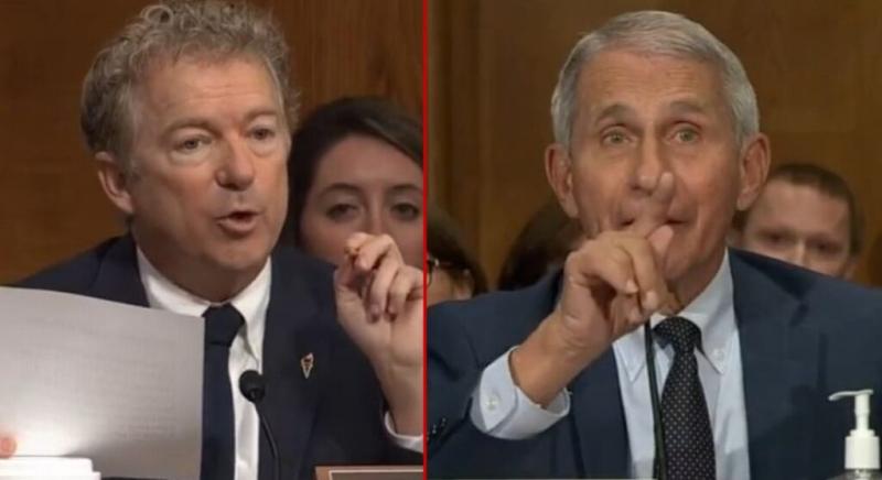Rand Paul Unleashes On Dr. Fauci, Immediately Turns Him Into a Triggered Hysterical Mess