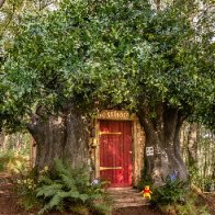 Winnie the Pooh's tree house for rent at this 'Bearbnb'