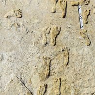 Oldest human footprints in North America found - Indian Country Today