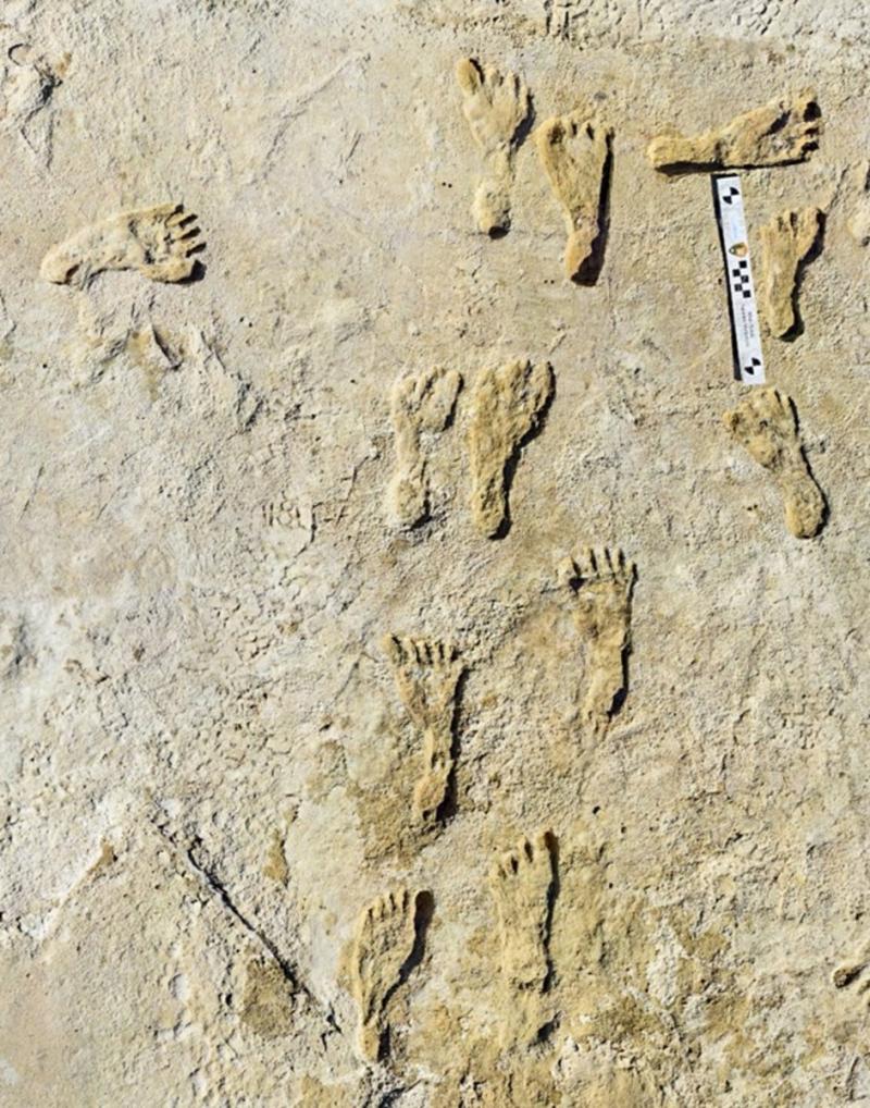 Oldest human footprints in North America found - Indian Country Today