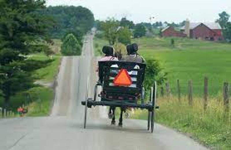 Amish survived COVID-19 better than most by not locking down, ceasing church gatherings: report