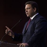 DeSantis targets critical race theory — again 