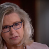 Liz Cheney, Adam Kinzinger, and the New American Fascism 