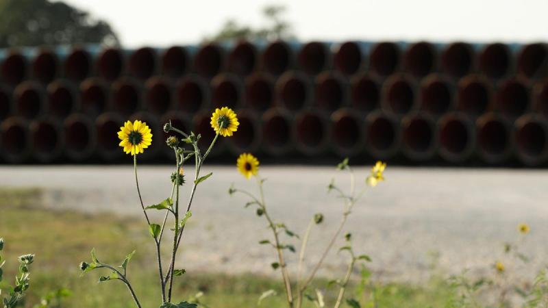 The US Has So Many Oil Pipelines, Half of Them Are Empty
