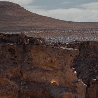 Is That a Burning Bush? Is This Mt. Sinai? Solstice Bolsters a Claim