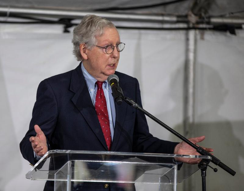 Mitch McConnell: African Americans vote as much as Americans
