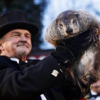 Surprising Groundhog Facts for Groundhog Day | Reader's Digest