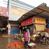 New Studies Support Wuhan Market as Pandemic's Origin Point 