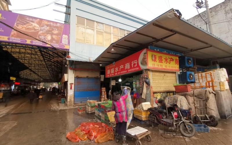 New Studies Support Wuhan Market as Pandemic's Origin Point 