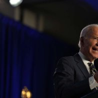 Bracing for Losses, Democrats Look to Biden for a Reset