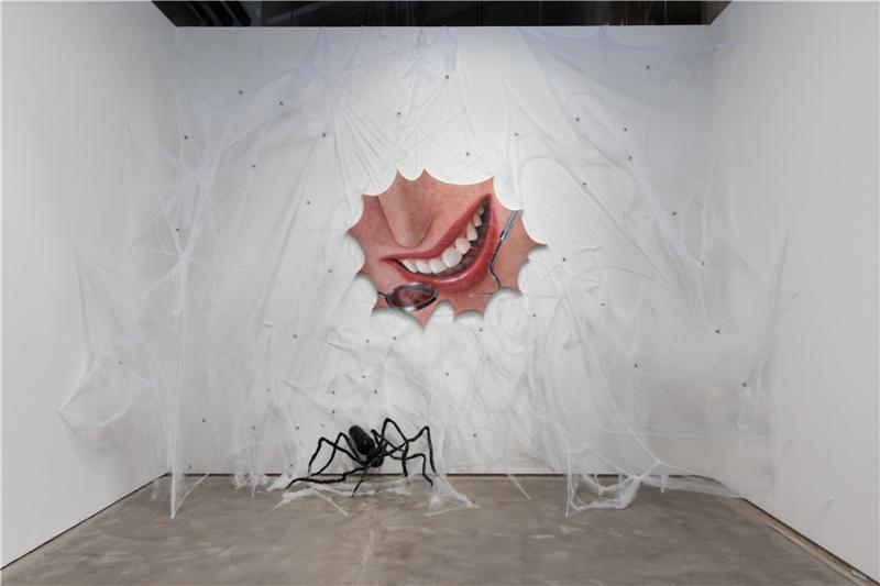 US artist Trey Abdella creates 'Almost Heaven' experience