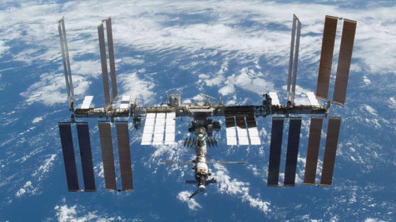 Cosmonauts Find Bacteria Living On The Outside Of The ISS | IFLScience
