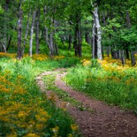 Kentucky Woman’s Advice For Staying Safe In the Appalachian Mountains Is Eerie