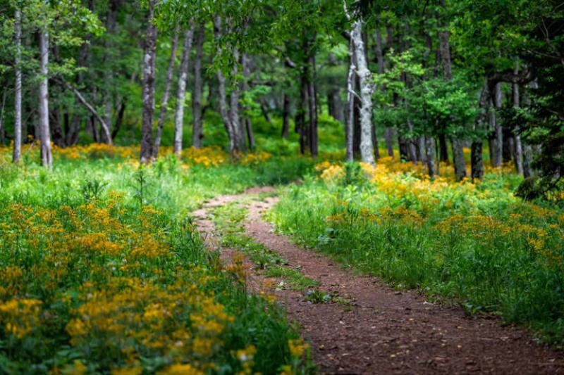 Kentucky Woman’s Advice For Staying Safe In the Appalachian Mountains Is Eerie