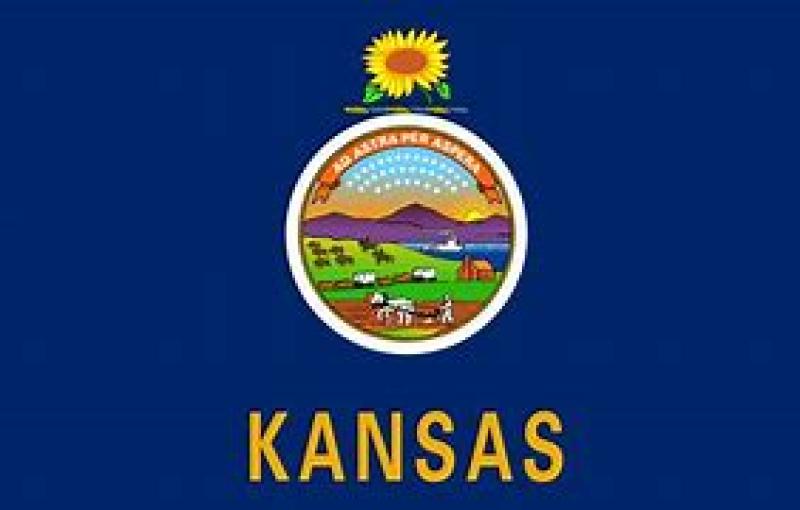 Turnout In Kansas Primary Is 50% Higher Than Expected , Attributed To Abortion Referendum