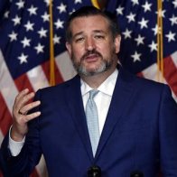 2024 Watch: Sen. Ted Cruz says he'll 'wait and see' what Trump decides and then 'make decisions' | Fox News