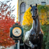 All 14 races at 2022 Breeders' Cup: Top picks include Flightline, Kinross, Jackie's Warrior and more - NBC Sports