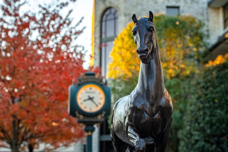 All 14 races at 2022 Breeders' Cup: Top picks include Flightline, Kinross, Jackie's Warrior and more - NBC Sports