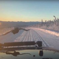 Caught on cam: Raven flies in front of B.C. couple's car for 45 minutes