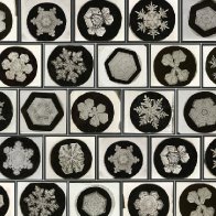 How a Vermont farmer proved no snowflakes are alike