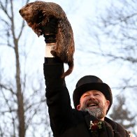 Groundhog Day 2023: Punxsutawney Phil Sees His Shadow, but How Often Are His Predictions Right? 