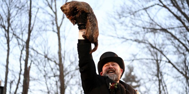 Groundhog Day 2023: Punxsutawney Phil Sees His Shadow, but How Often Are His Predictions Right? 