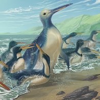The Biggest Penguin That Ever Existed Was a 'Monster Bird' - The New York Times