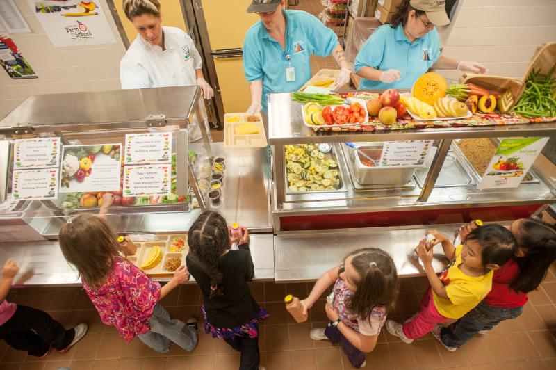 GOP Lawmaker Says He Has Never Met a Hungry Person in Minnesota - Rolling Stone