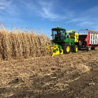 A Cost-Effective Solution to Climate Change: Burying Biomass in Dry Landfills