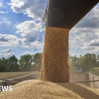 EU rejects Ukraine grain bans by Poland and Hungary