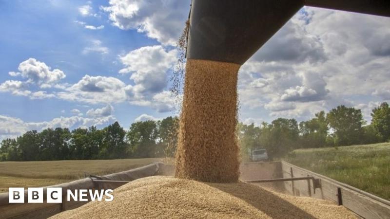 EU rejects Ukraine grain bans by Poland and Hungary