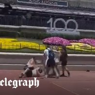 Watch: Brawl breaks out between families at Disney World