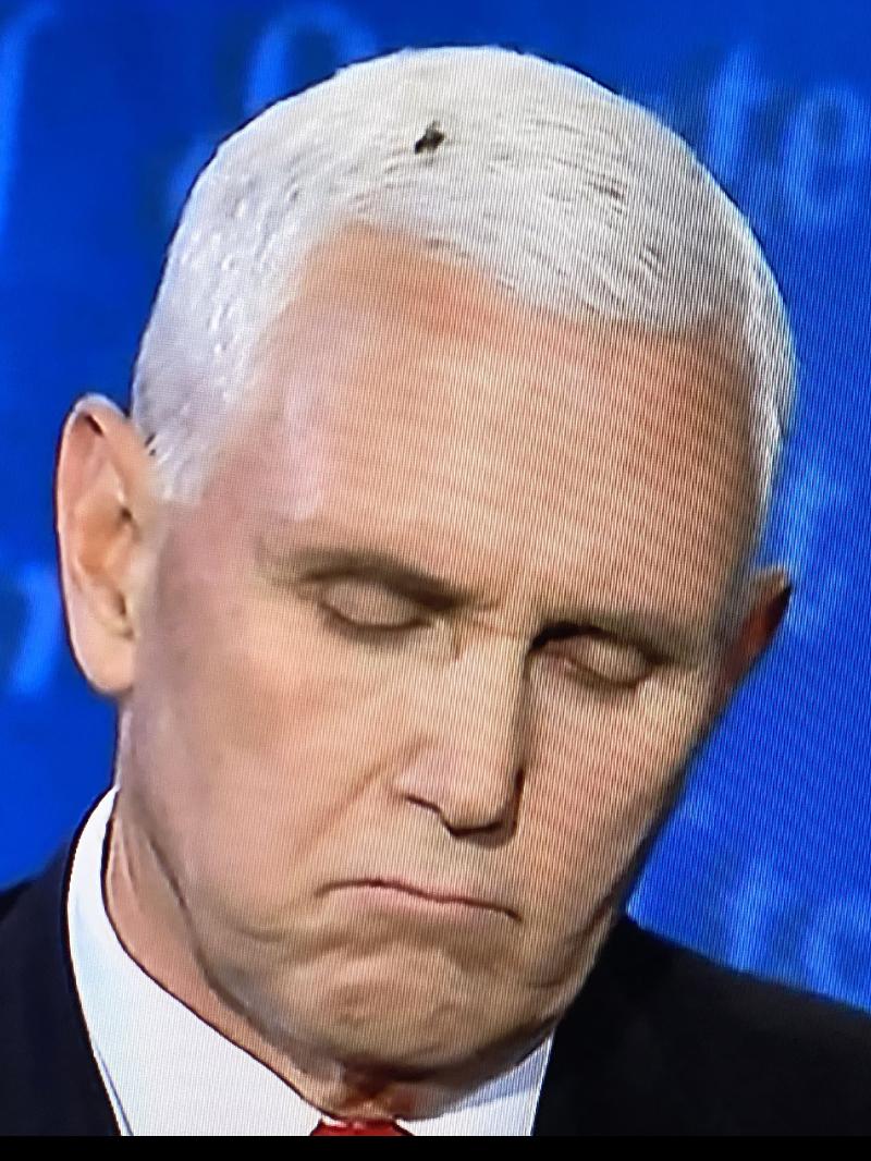 Trump supporters trash 'Judas' Mike Pence as he announces presidential run - Raw Story 