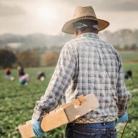 Forced Labor in the United States