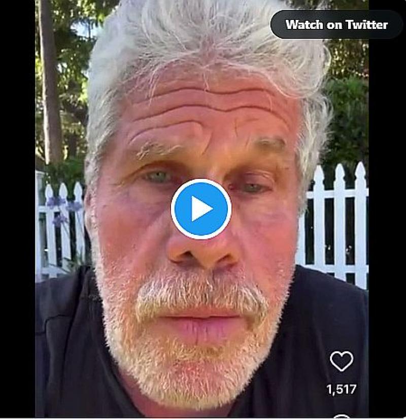 Ron Perlman Threatens Hollywood Executive Amid Strike