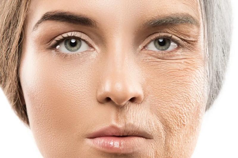 Anti-Aging Breakthrough As Scientists Reverse Aging With Simple Drug Cocktail