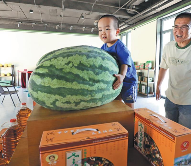 Watermelon testers still in high demand