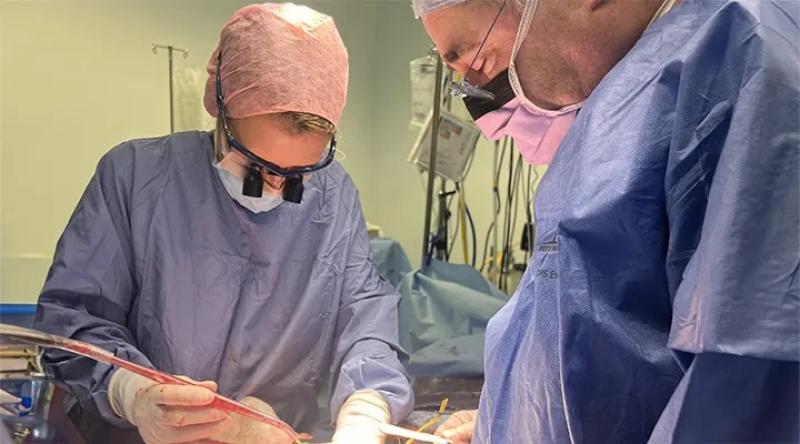 Woman donates her womb to sister in first-ever U.K. transplant