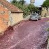 Cascades of red wine flood a city's streets in Portugal after huge tanks rupture