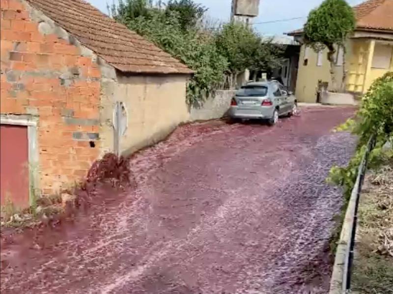 Cascades of red wine flood a city's streets in Portugal after huge tanks rupture