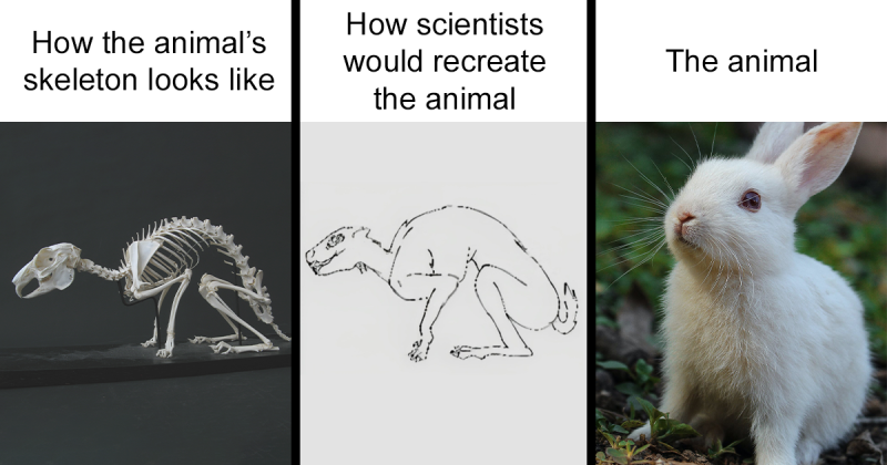 50 Clever Science Memes That Have Been Scientifically Proven To Cause Laughter