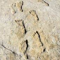 New Mexico footprints are oldest sign of humans in Americas, research shows | Archaeology | The Guardian
