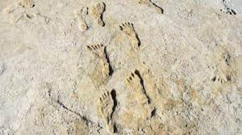 New Mexico footprints are oldest sign of humans in Americas, research shows | Archaeology | The Guardian