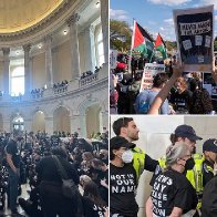 Capitol Hill protest: Hundreds storm building with banners demanding Israel-Gaza ceasefire - The Mirror US