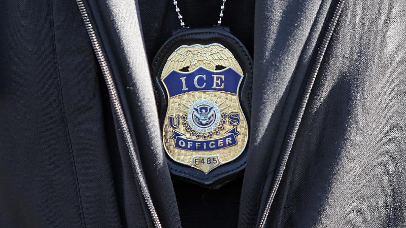 ICE arrests 171 noncitizens in latest enforcement push - ABC News