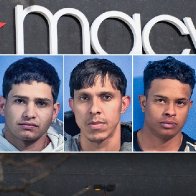 Chicagoland criminals expanding enterprises by training migrants for suburban crime sprees: expert | Fox News