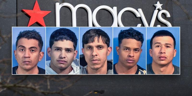 Chicagoland criminals expanding enterprises by training migrants for suburban crime sprees: expert | Fox News