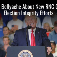 Media Bellyache About New RNC Chair's Election Integrity Efforts